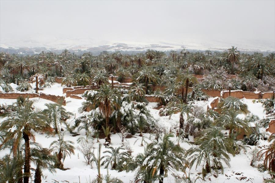 الثلوج تغطي صحراء المغرب.. لم تحدث منذ الستينيات!