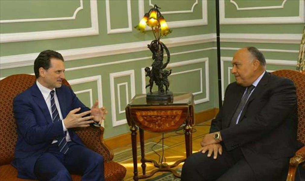 وزير الخارجية المصري يبحث أوضاع فلسطين مع مفوض الـ«أونروا»