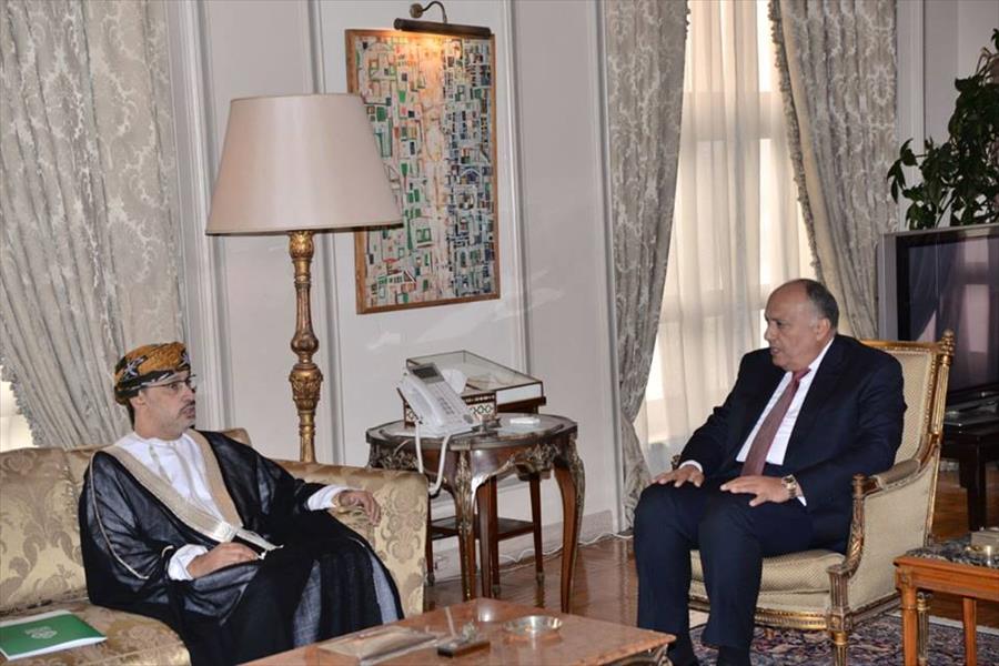 وزير الخارجية المصري يلتقي نائب رئيس البرلمان العربي