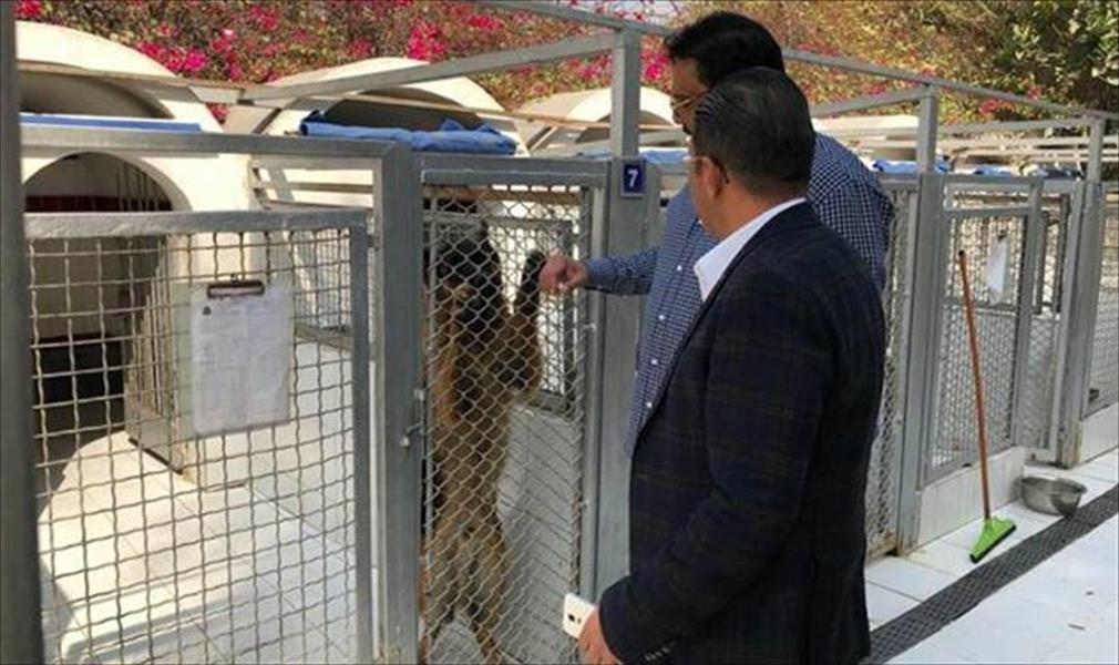 «الحكومة الموقتة» تتعاقد على شراء كلاب بوليسية من مصر