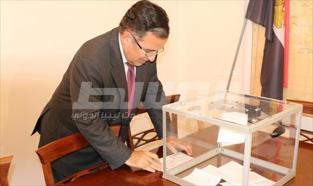 بالصور: مؤشِّرات إيجابية لتصويت المصريين بالخارج