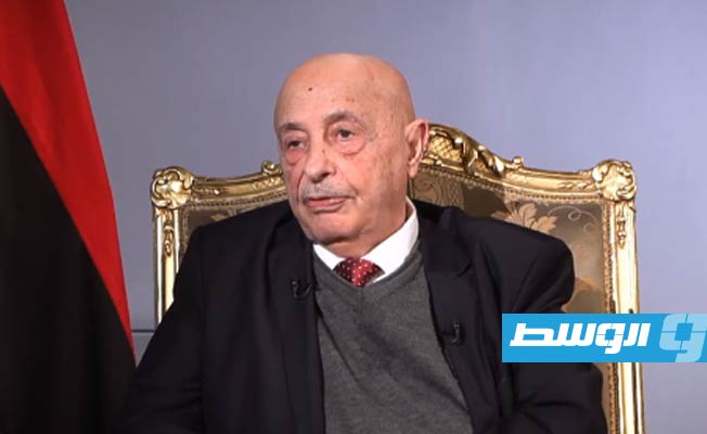 عقيلة صالح: سنتوافق مع مجلس الدولة على حكومة مصغرة لإجراء الانتخابات