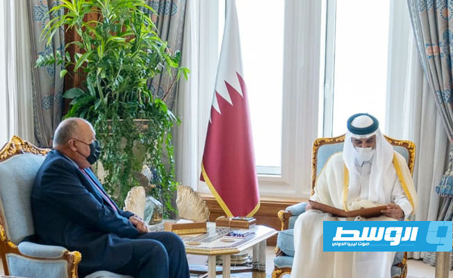 شكري يسلم أمير قطر رسالة من السيسي ودعوة لزيارة مصر