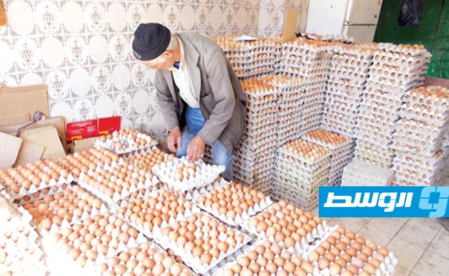 منتجو البيض في المغرب يخسرون ملايين الدولارت