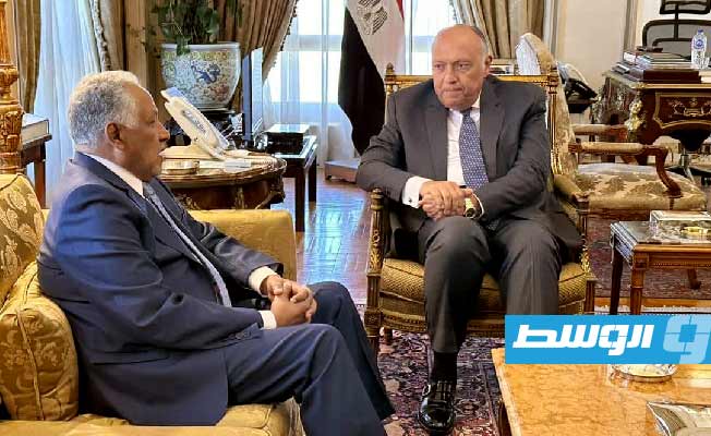 مصر تجدد الدعوة لطرفي الصراع في السودان لتثبيت الهدنة وبدء حوار جاد