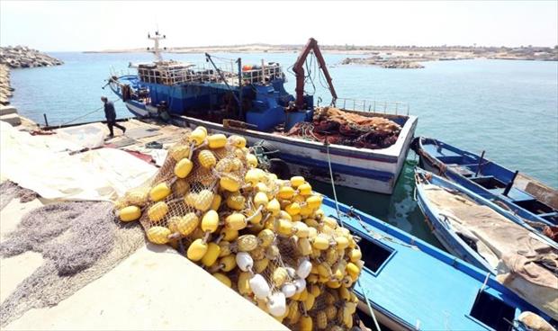 الصيد بالمتفجرات يضرّ الإنسان والبيئة في ليبيا
