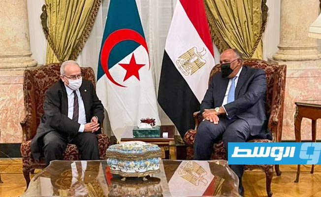 وزير الخارجية المصري يلتقي نظيره الجزائري بالقاهرة