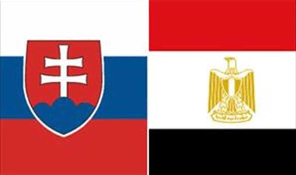 جولة مباحثات شاملة بين مصر وسلوفاكيا