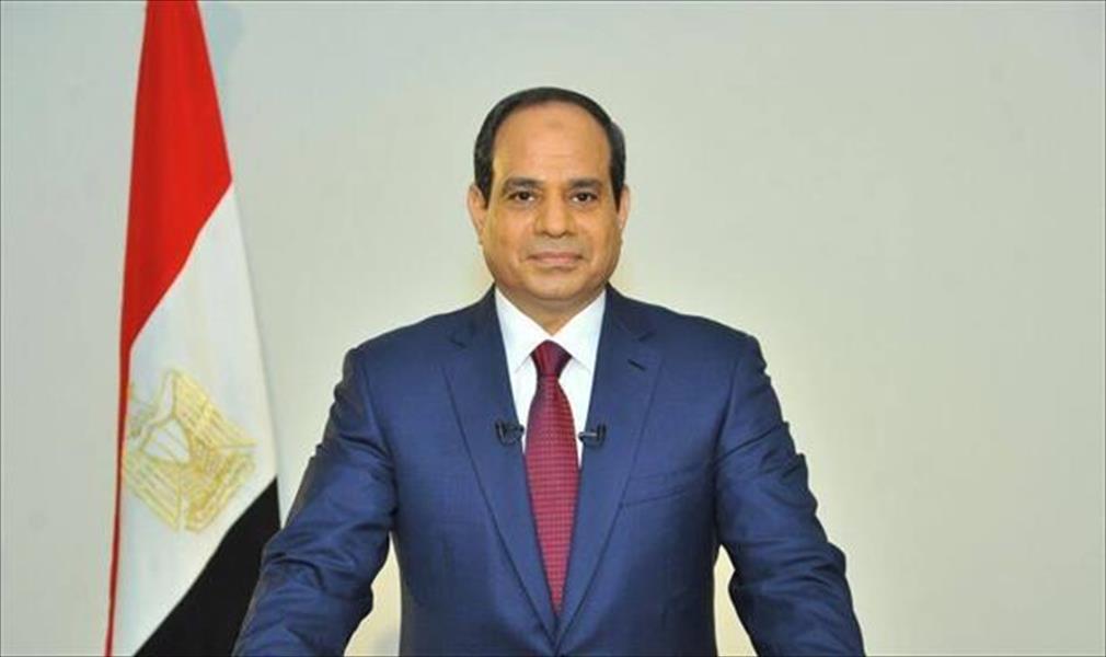 السيسي: ثورة يناير ستظل نقطة تحول في تاريخ مصر