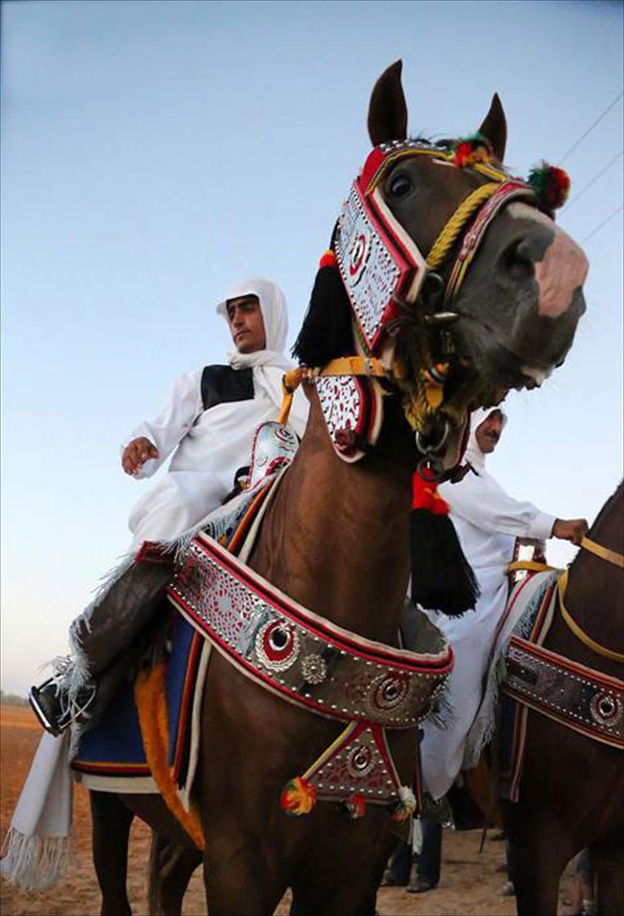 بالصور: سباق الحلبة لمربي الخيول الليبية يعود بعد غياب 42 عامًا