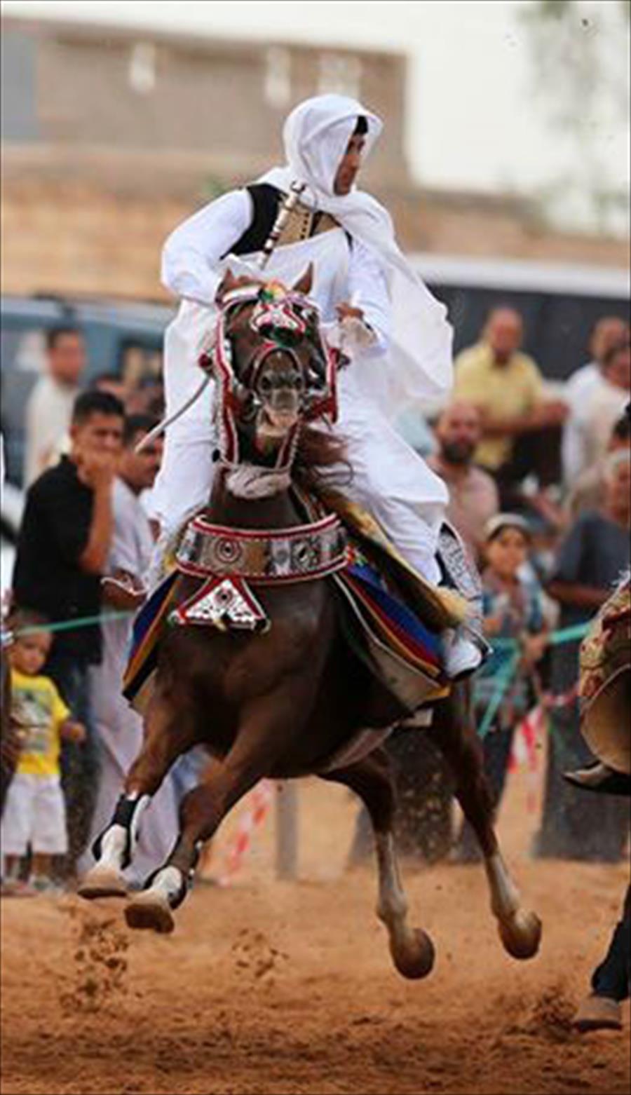 بالصور: سباق الحلبة لمربي الخيول الليبية يعود بعد غياب 42 عامًا