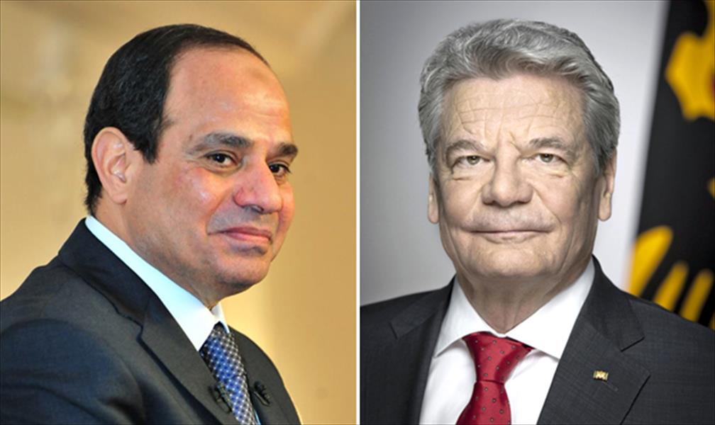 الرئيس الألماني يدعو نظيره المصري للتعاون والشراكة