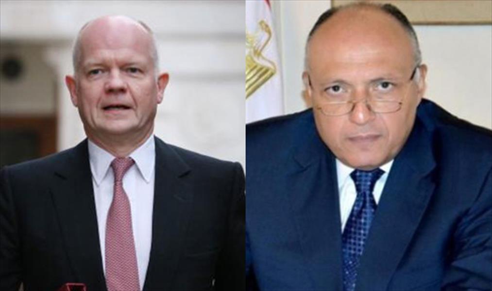 وزيرا خارجيتي مصر وبريطانيا يبحثان أزمة غزة