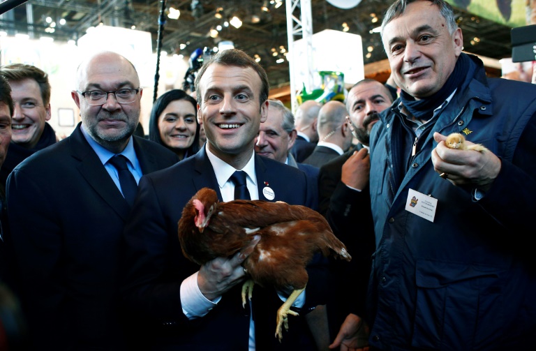 الرئيس الفرنسي يتبنى دجاجة