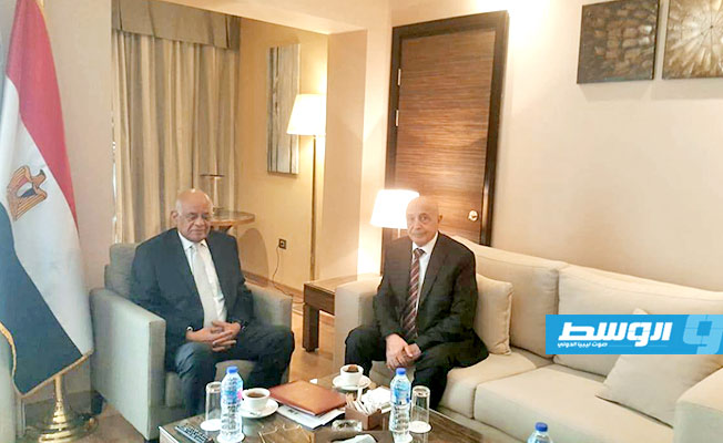 رئيس مجلس النواب المصري لعقيلة صالح: ندعم القوات المسلحة الليبية في حربها ضد الإرهاب
