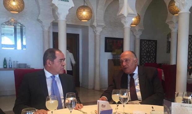 وزير الخارجية المصري يؤكد ضرورة «التصدي لمحاولات التدخل العسكري الأجنبي» في ليبيا