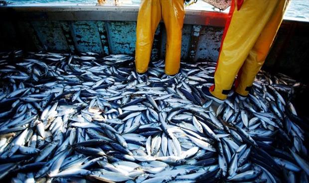 تطور تقنيات الصيد يهدد بإفراغ البحار من أسماكها