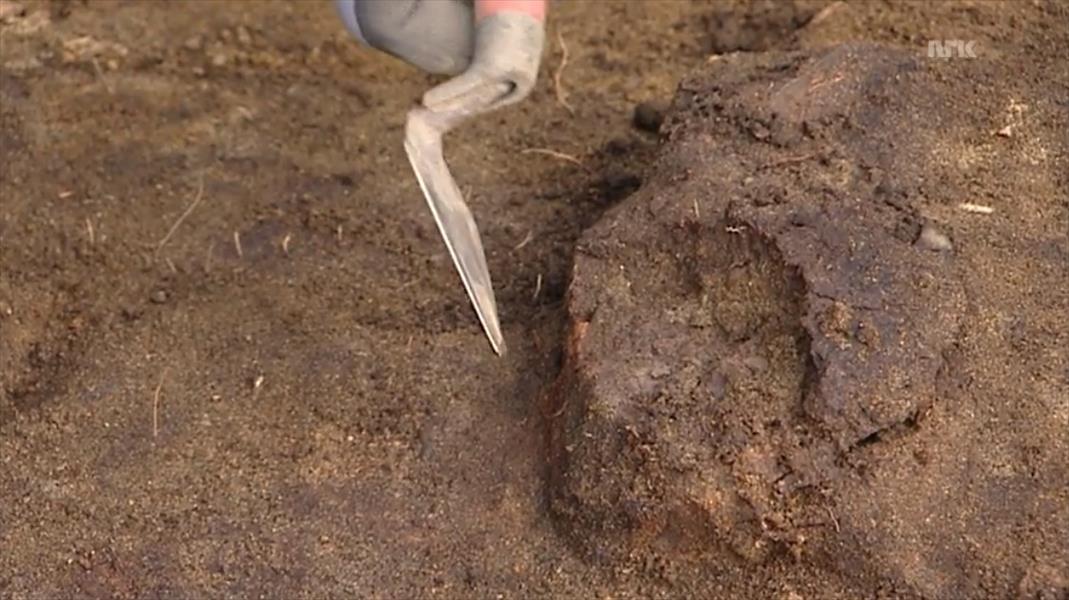 اكتشاف جمجمة بشرية عمرها 8000 عام