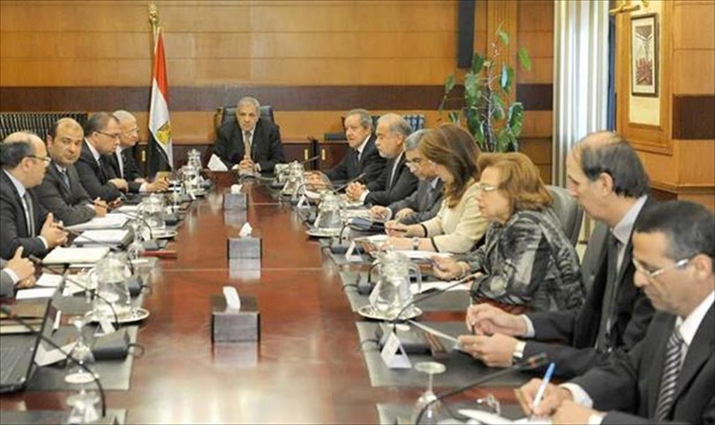  الحكومة المصرية تستعرض خطة لزراعة 4 ملايين فدان 