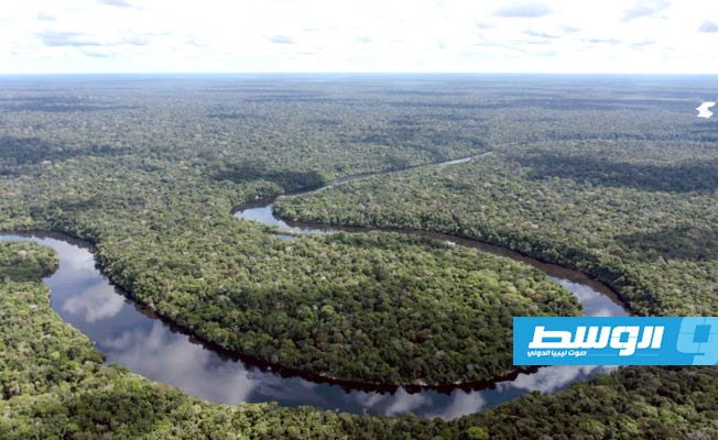 تراجع قطع الأشجار إلى النصف في الأمازون البرازيلية عام 2023