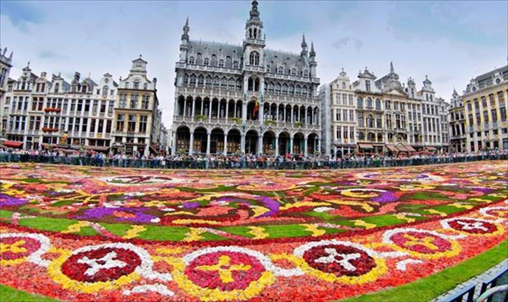 بروكسل تتزين بسجادة من زهور البيغونيا