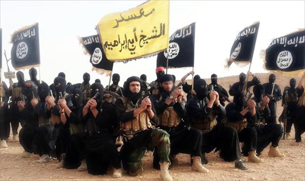 مصر: ضبط أول عضو بتنظيم «العائدون من داعش»