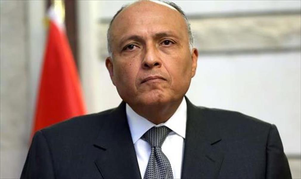 عبد العزير يبحث مع نظيريه المصري والجزائري الأوضاع في ليبيا
