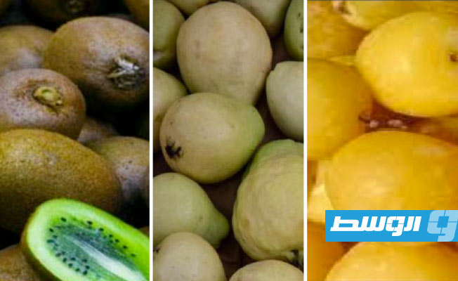 مركز الرقابة على الأغذية يوقف شحنة فواكه قادمة من مصر