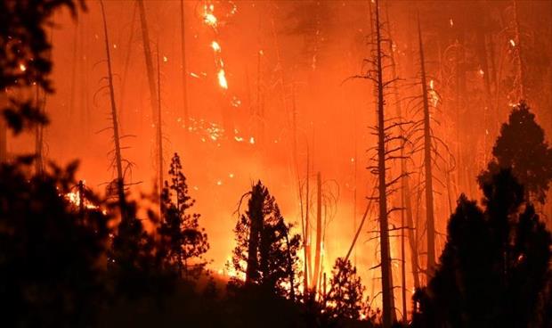 وثائقي يبرز مسؤولية البشر عن الحرائق الهائلة بكاليفورنيا
