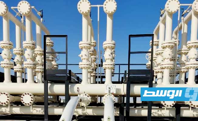 اقتصادي ليبي يدعو لتخصيص 70% من موارد النفط لتنمية مصادر الدخل البديلة