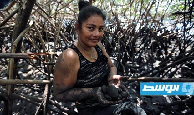 جمع الأصداف لحماية المانغروف في نيكاراغوا