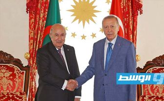 تبون وإردوغان يبحثان الملفين الليبي والسوداني في اسطنبول
