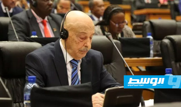 عقيلة صالح يطالب بدعم أفريقي لـ«تشكيل حكومة وحدة وطنية» في ليبيا