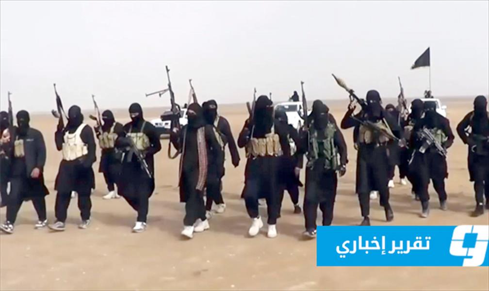 الدور المصري في مواجهة «داعش»