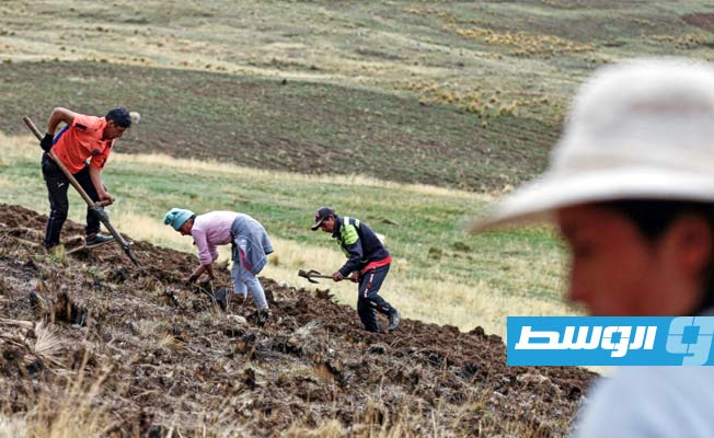 المزارعون في البيرو باتوا «عاجزين» عن مكافحة الجفاف بمفردهم