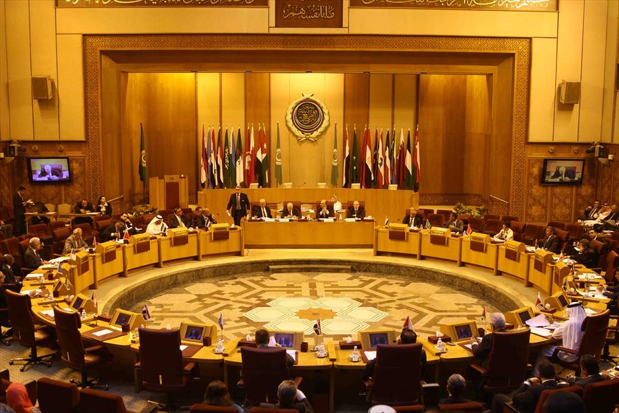مصر تطالب العرب بالتضامن معها لدحض الإرهاب