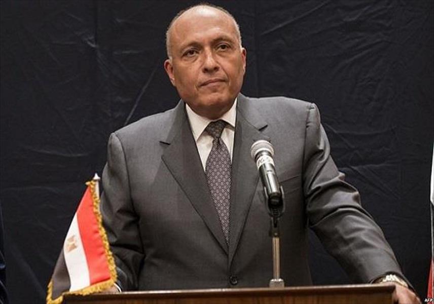 مصر تروج الخبرات الأفريقية في بناء السلام بعد النزاعات