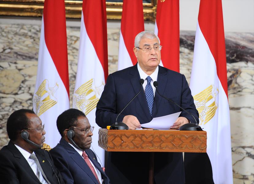 مصر: نظر الطعن حول دستورية قانون التظاهر 14 ديسمبر