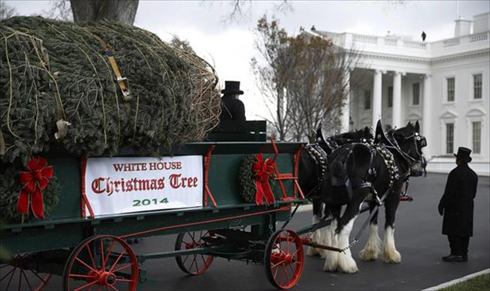 ميشيل أوباما تستقبل شجرة عيد الميلاد