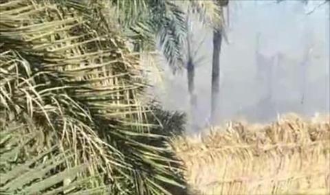 بالصور.. حريق مروع في مزارع وأملاك المواطنين في تراغن
