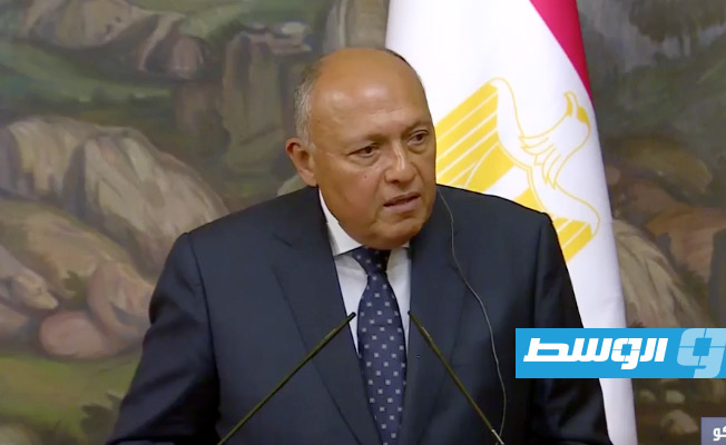 مصر عن إقرار «النواب» لتعديل الإعلان الدستوري: «خطوة مهمة» نتطلع لاستكمالها