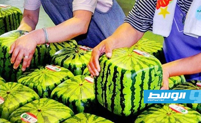 اليابان: البطيخ المربع ليس صالحا للأكل