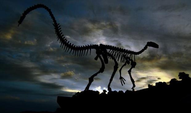 أفول الديناصورات بدأ بسبب زيادة برودة الأرض قبل انقراضها بـ«نيزك»