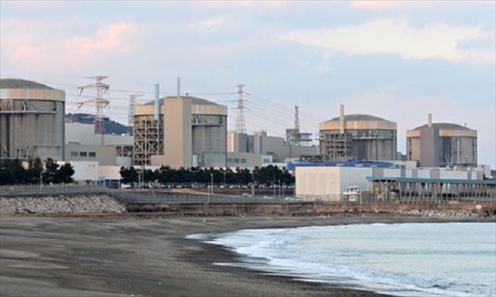 إزالة «دودة» إلكترونية من شبكة مفاعلات كوريا الجنوبية