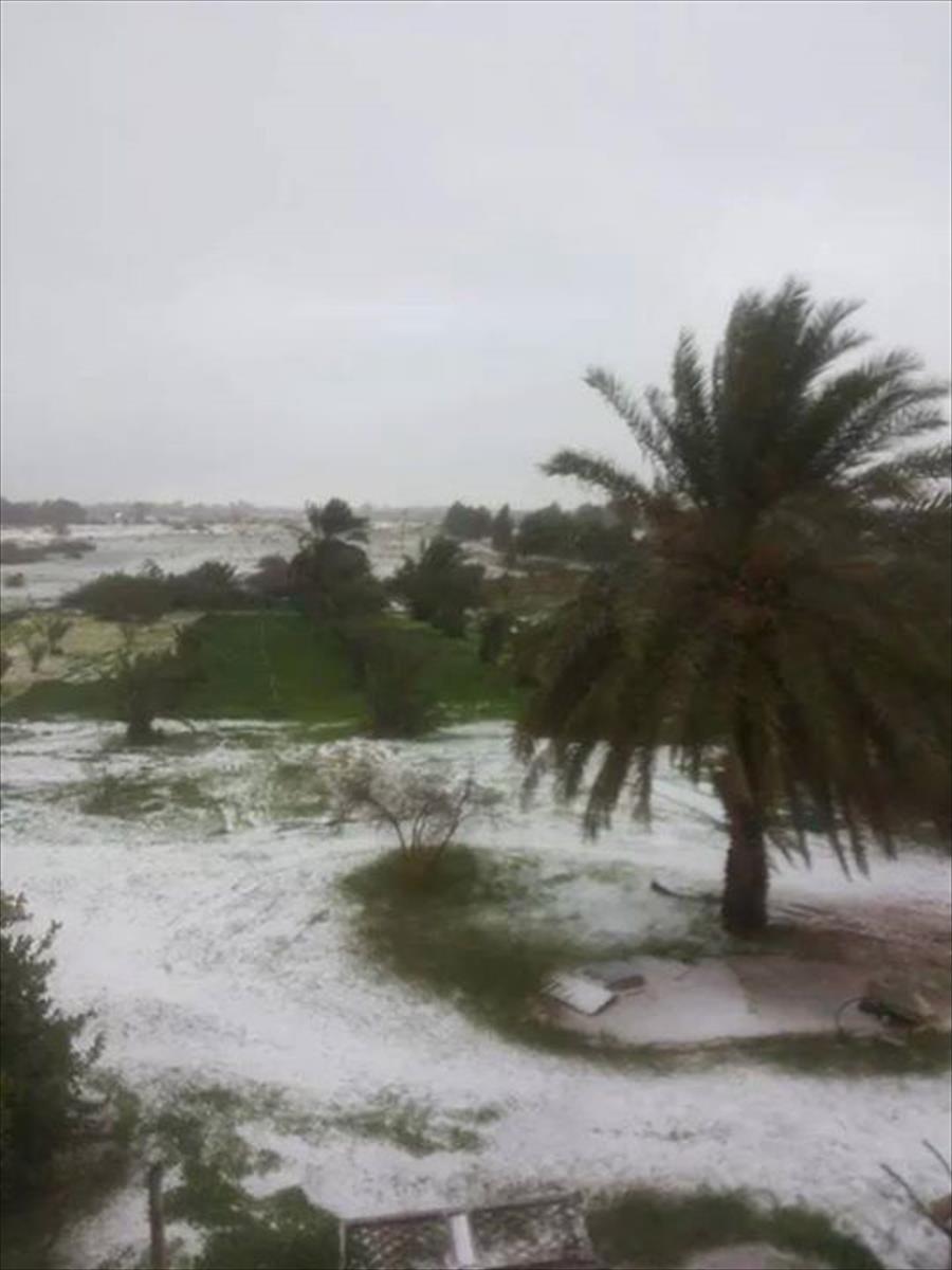 بالصور: الثلوج تغطي طرابلس بسبب منخفض جوي