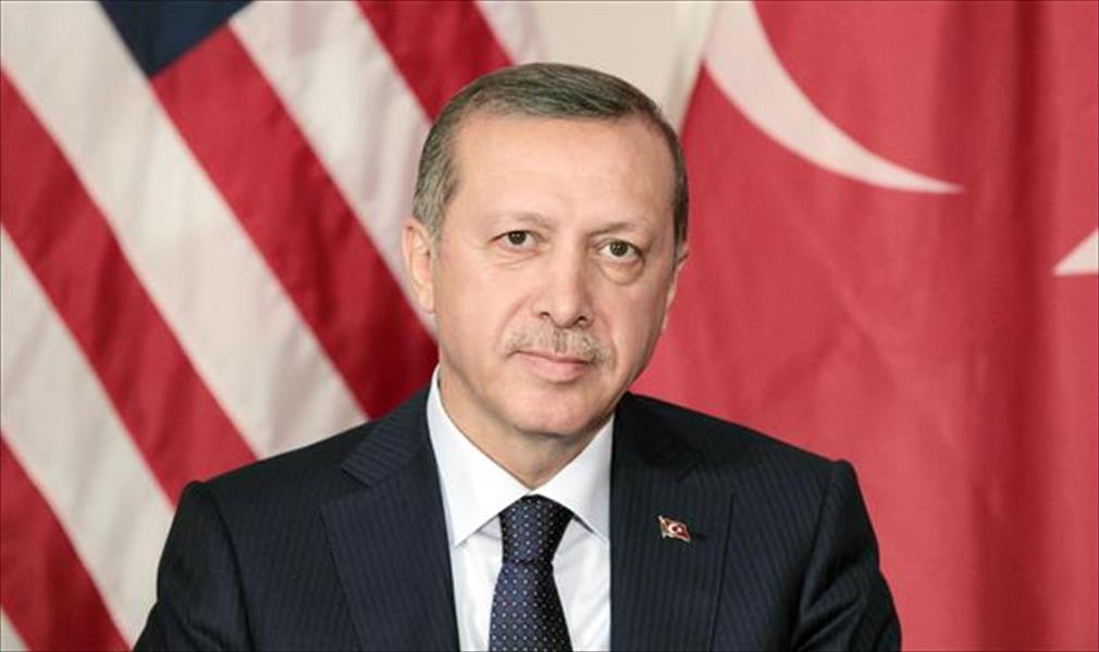 أردوغان: «انقلاب 2013» كلَّف تركيا 120 مليار دولار