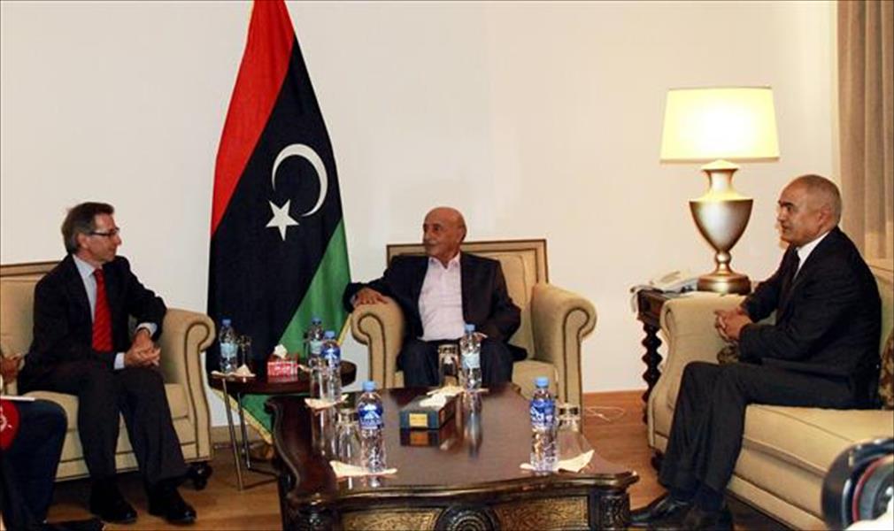 خبير أوروبي: الضغوط على الفرقاء الليبيين قد تؤتي ثمارها