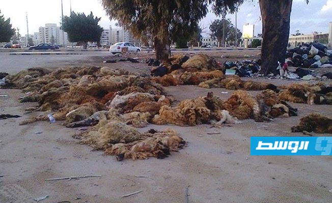 بلدية بنغازي: صور تكدس مخلفات الأضاحي «قديمة» أو في «مدن أخرى»