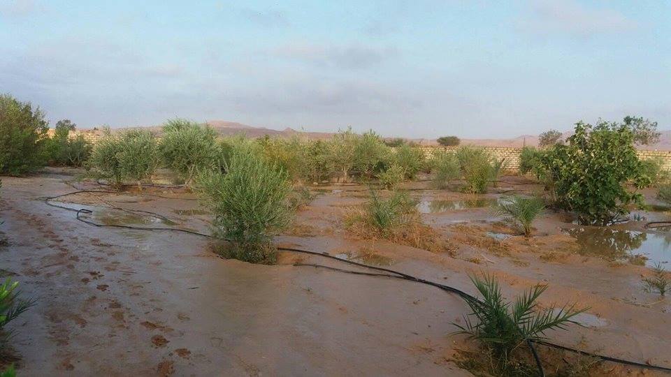هطول أمطار غزيرة بمنطقة مزدة تبشر بموسم زراعي وفير