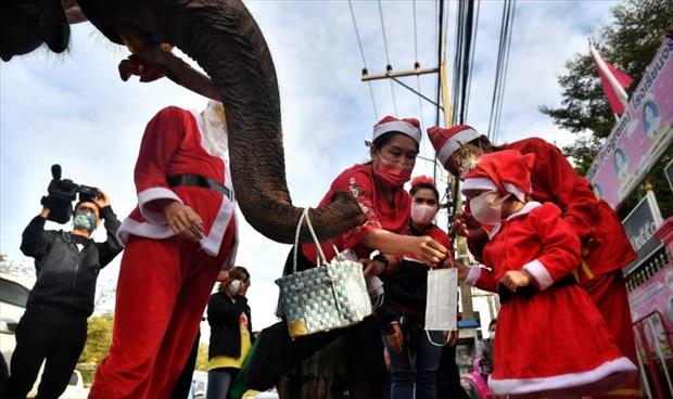 فيلة بزي سانتا كلوز توزع الكمامات في مدرسة تايلاندية